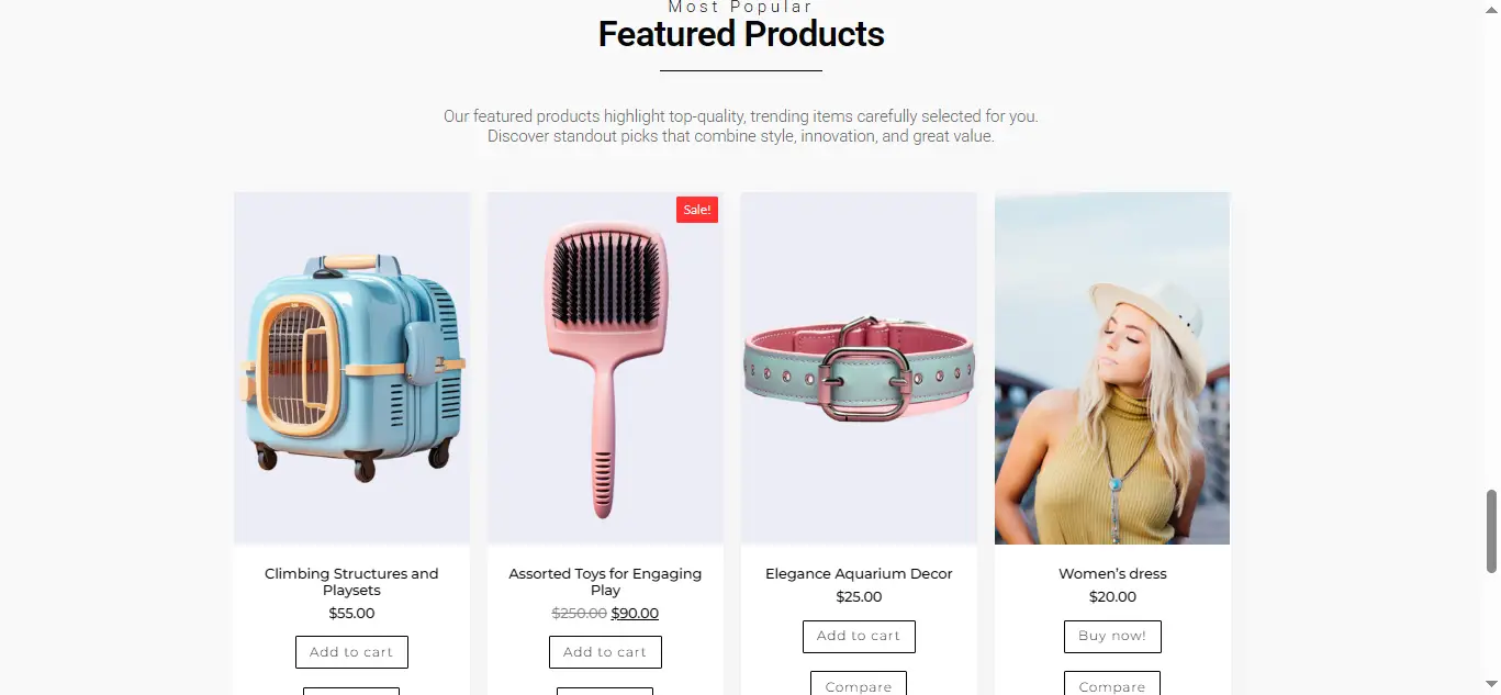Homepage-Ahina-LLC-05-14-2026_12_06_AM
